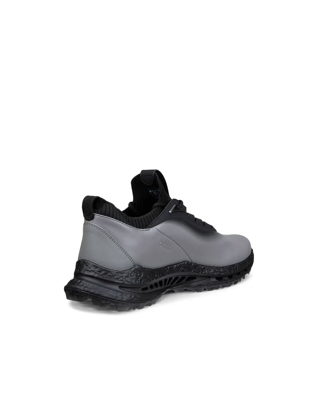 Ecco Biom C5 Men's Shoe