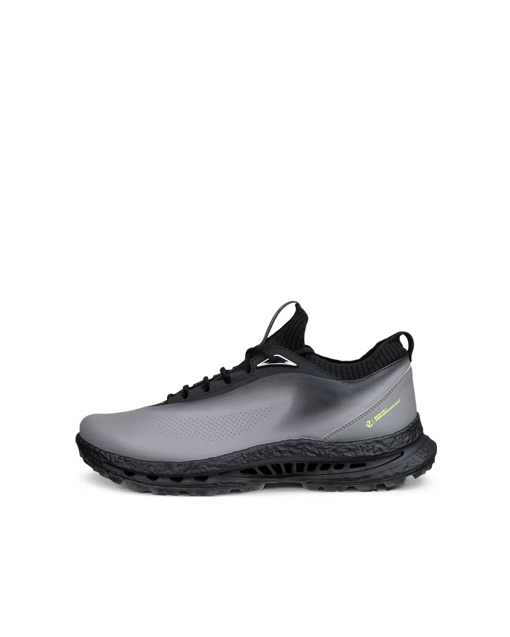 Ecco Biom C5 Men's Shoe