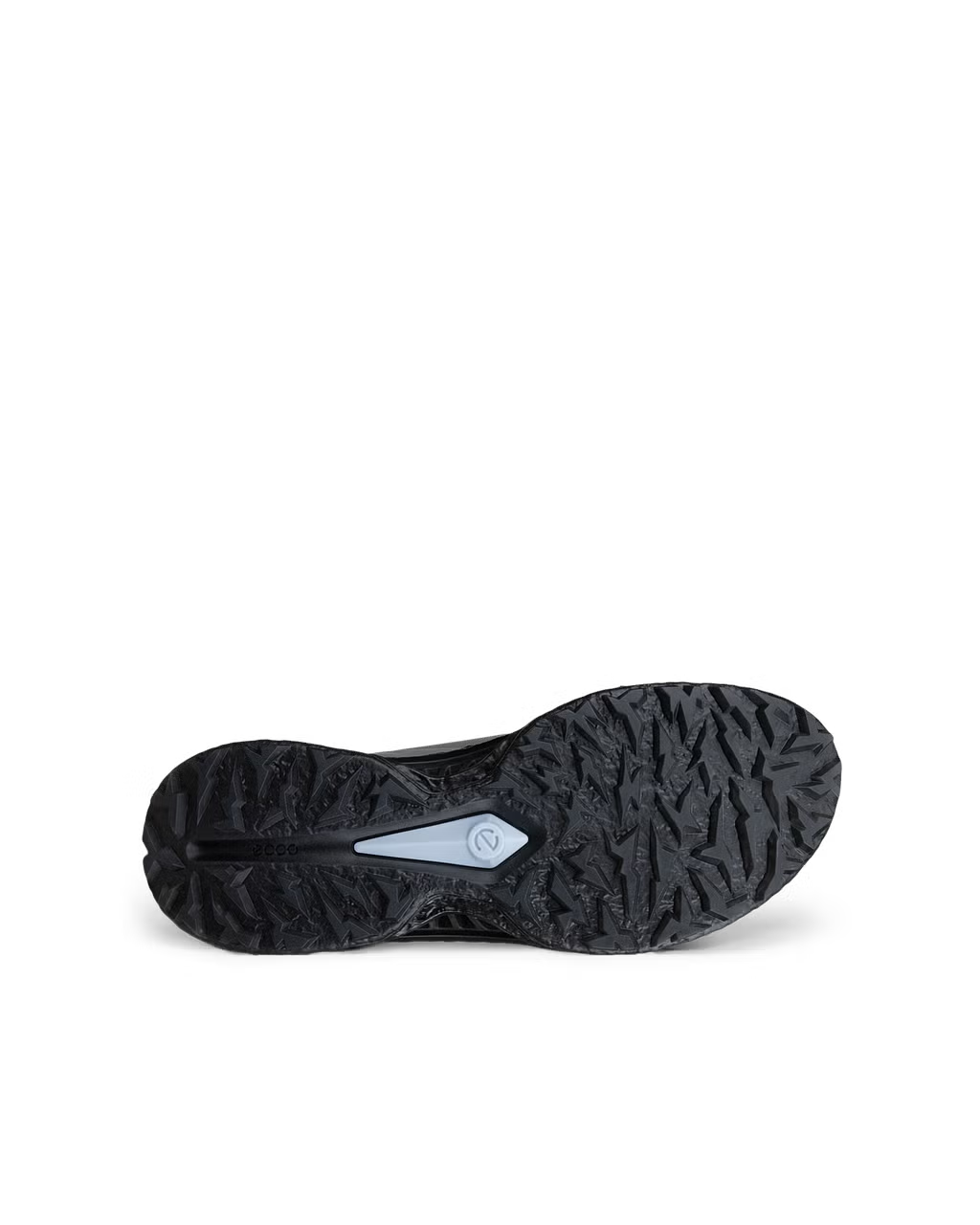 Ecco Biom C5 Men's Shoe