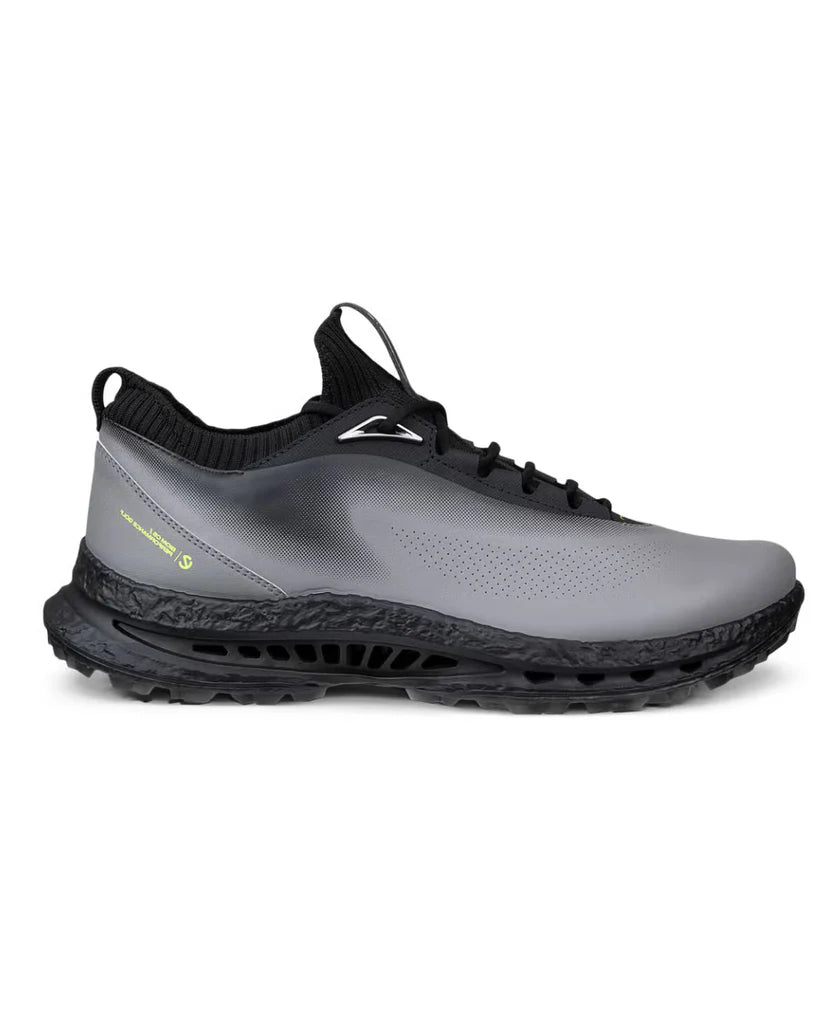 Ecco Biom C5 Men's Shoe