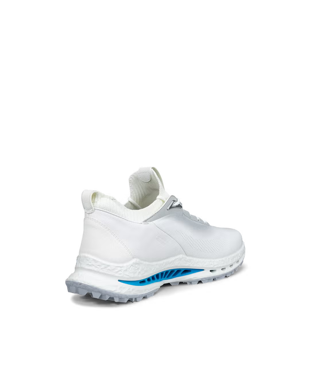 Ecco Biom C5 Men's Shoe