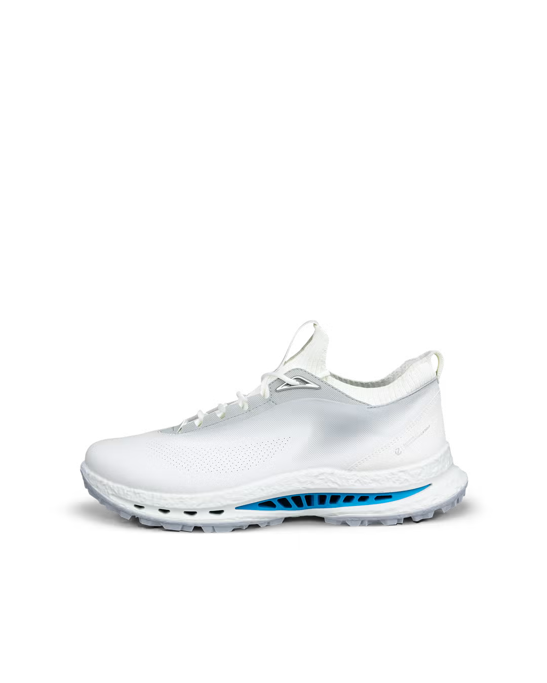 Ecco Biom C5 Men's Shoe