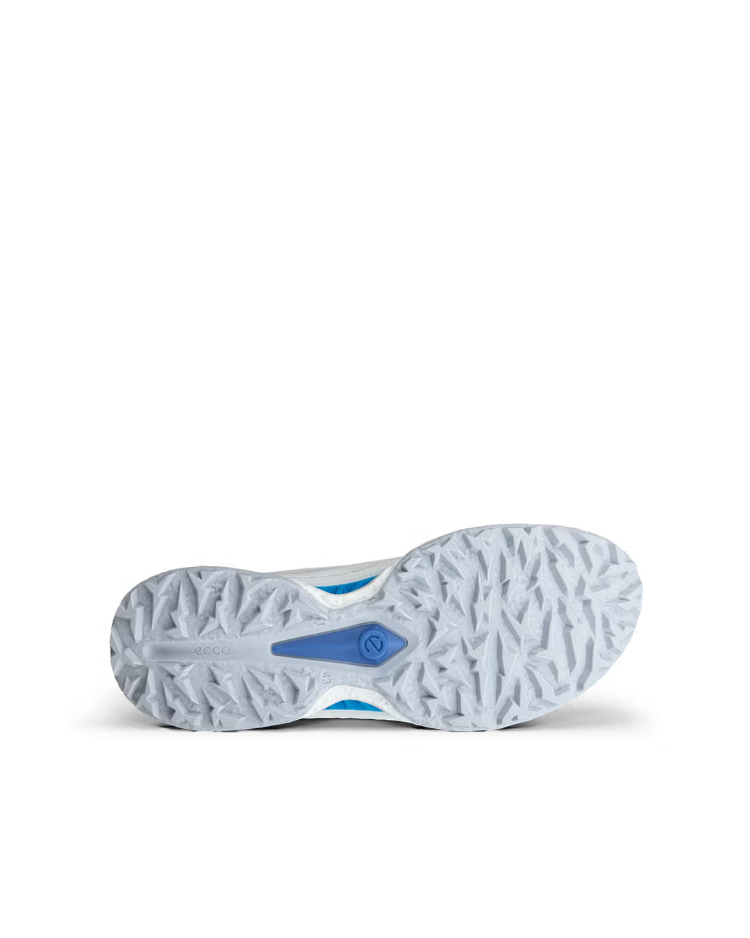 Ecco Biom C5 Men's Shoe