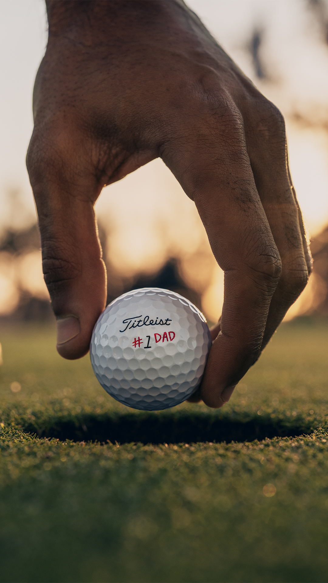 Titleist Pro V1 Father's Day Golf Ball