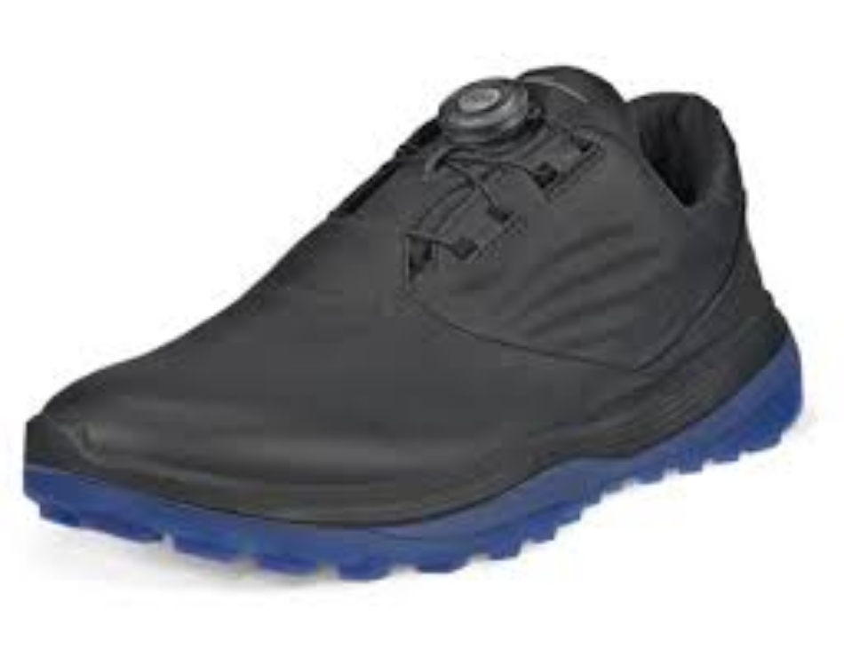 Picture of Ecco LT1 BOA Men's Shoe 